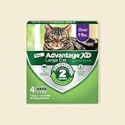 Cat flea & tick